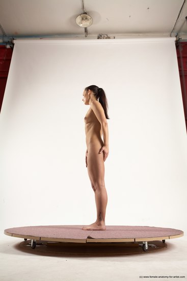 Nude Woman White Standing poses - ALL Slim long brown Standing poses - simple Multi angle poses Pinup