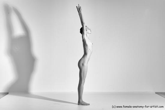 Nude Yoga poses Woman White Moving poses Slim long brown Dynamic poses Pinup