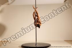 Poledance reference poses of Fannie