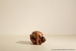 Modern dance poses of Kristyna